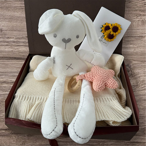 Baby Box with Blanket