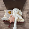 Baby Box with Blanket